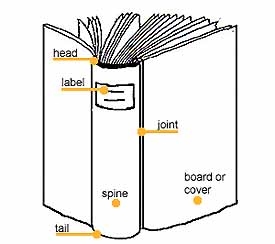 anatomy of a book