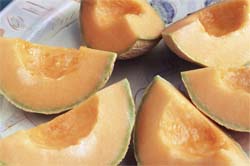 selecting ripe cantaloupe melon