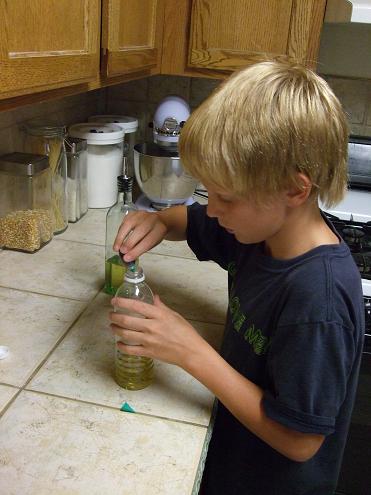 lava lamp science project