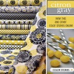 citron gray color story michael miller