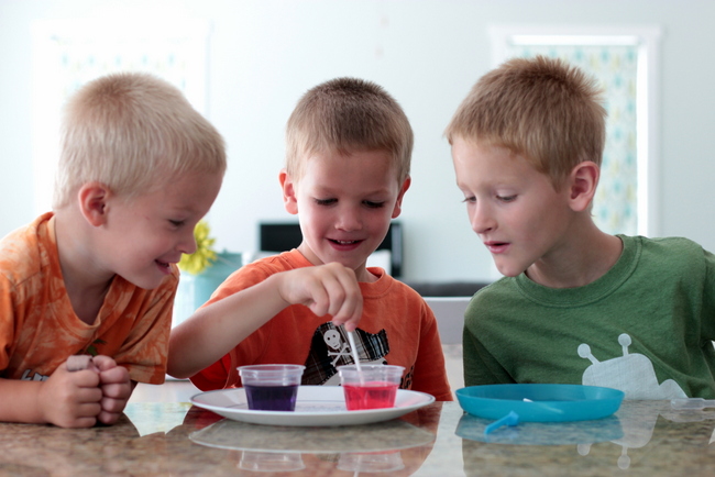 homeschool science