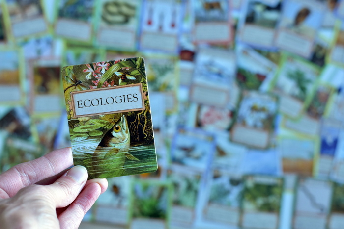 ECOLOGIES* Food Chain Card Game | Vanilla Joy